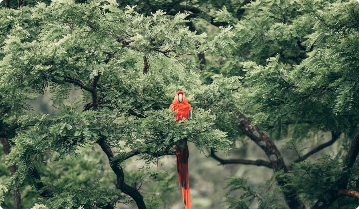 AIのニュース